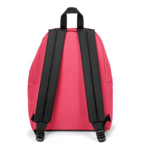 Plecak  Eastpak - Padded Pak'r 24L Wild Pink